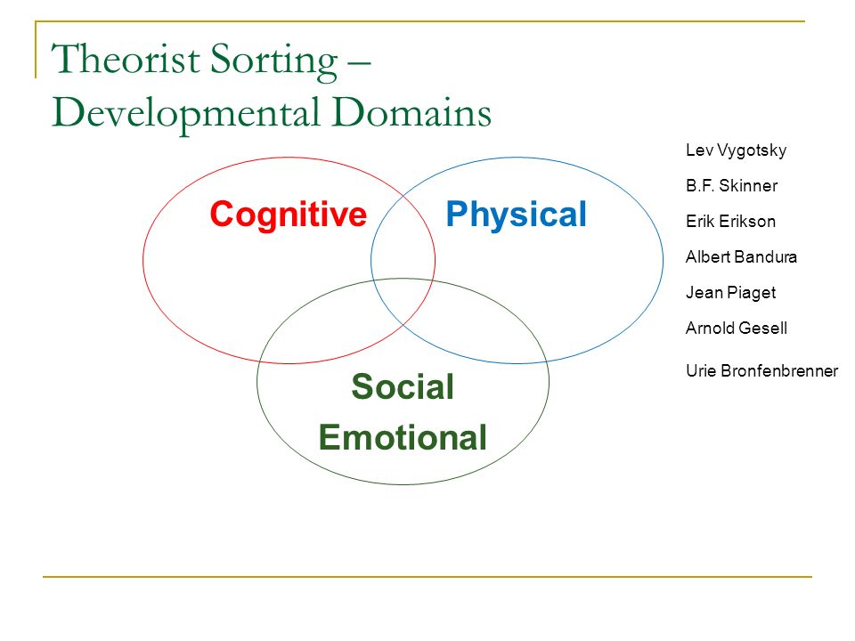 Child s World Development Theories. ppt video online download